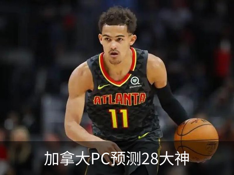 关于加拿大PC预测28大神